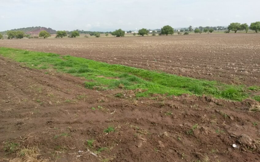 Terreno en Zumpango