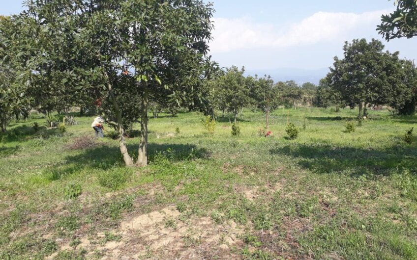 Terreno en Tepetlixpa