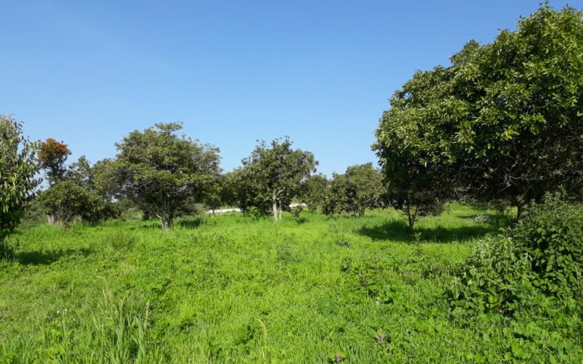 Terreno en Tepetlixpa