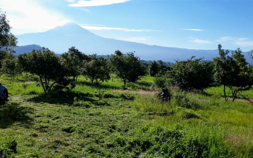 Terreno en Tepetlixpa